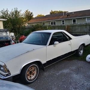 Meet your Posher, Bruce